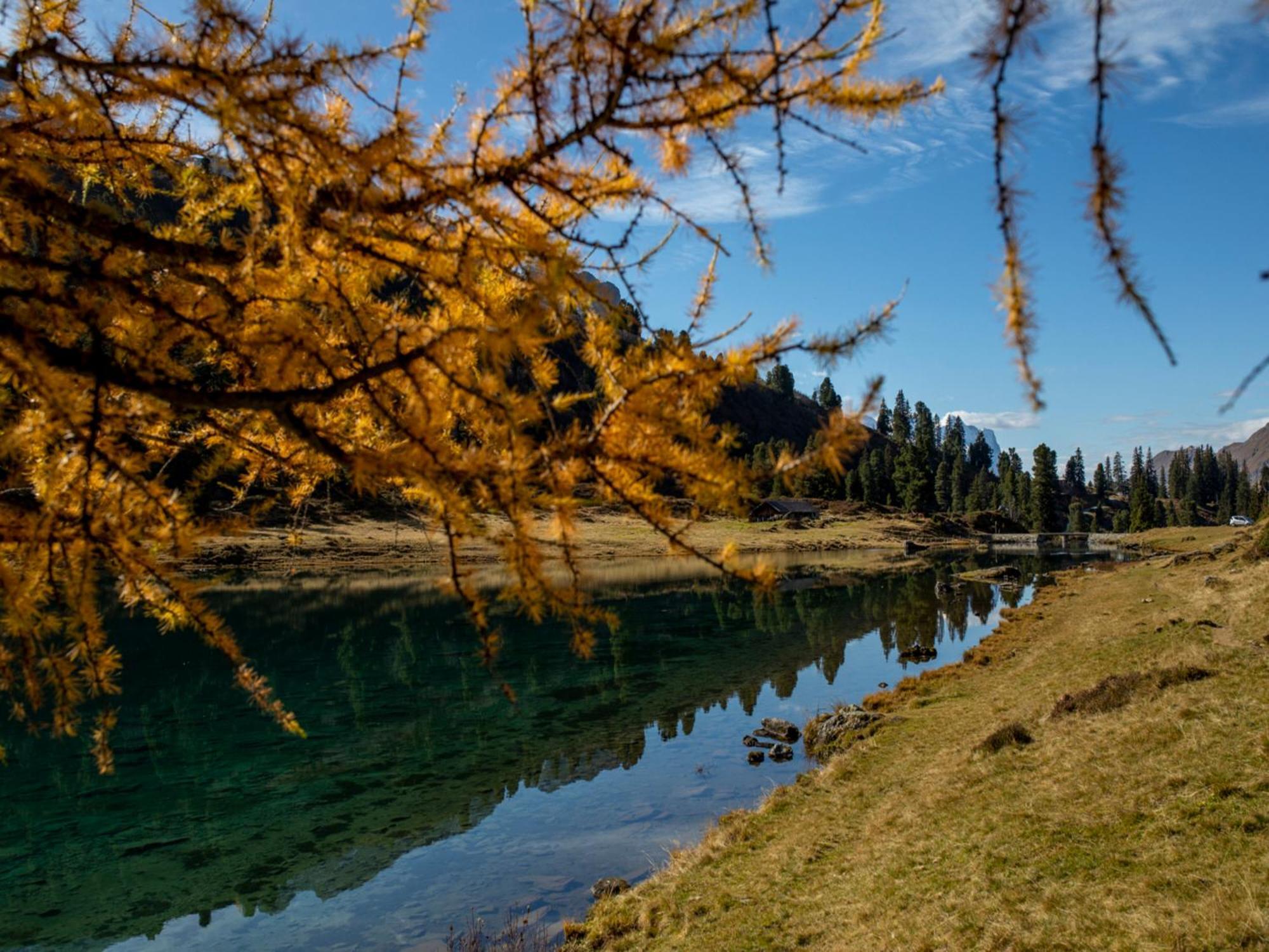 Hotel Victoria - Alpine Boutique & Fine Dining 4*